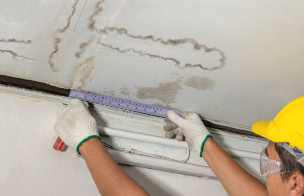 Reliable Mold Remediation contractor in March Air Reserve Base, CA by Water Damage Irwin